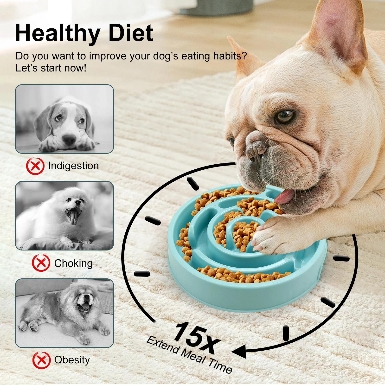 Pet Dog Slow Feeder Bowl Fun N - Royal Canin Food Medium recension och pris